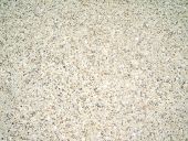 Exposed Aggregate Concrete Example